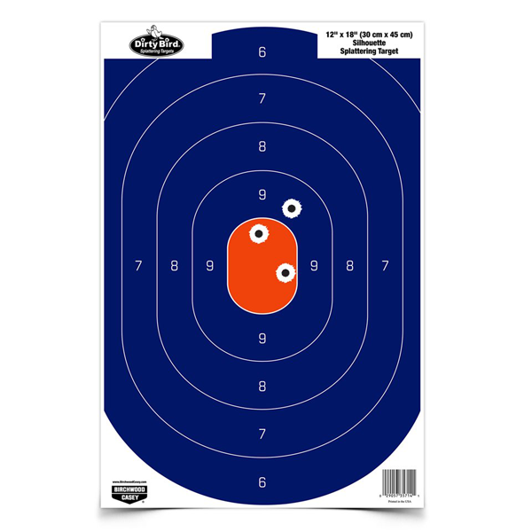 Targets Birchwood Casey Tagboard BIR 35714          DIRTYBRD 12X18 SIL BLU/ORG 100P • Model: Tagboard